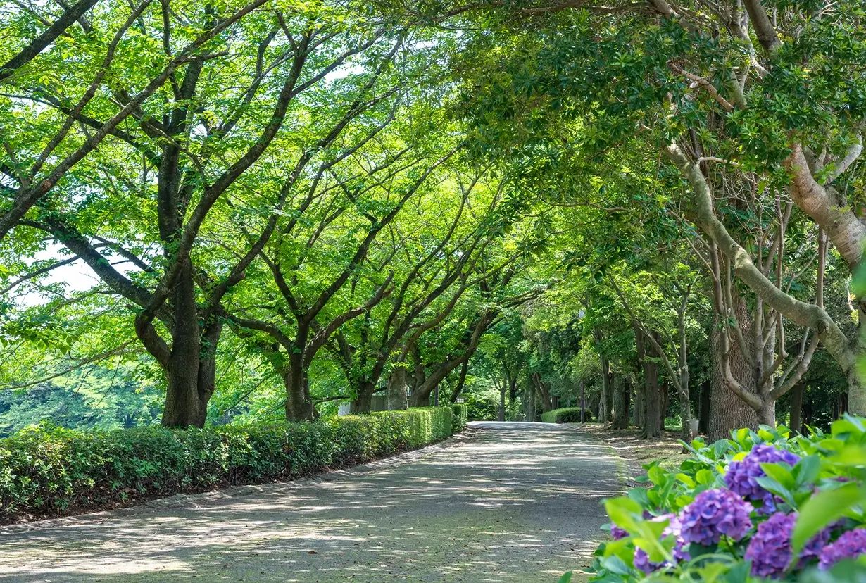 稲城中央公園