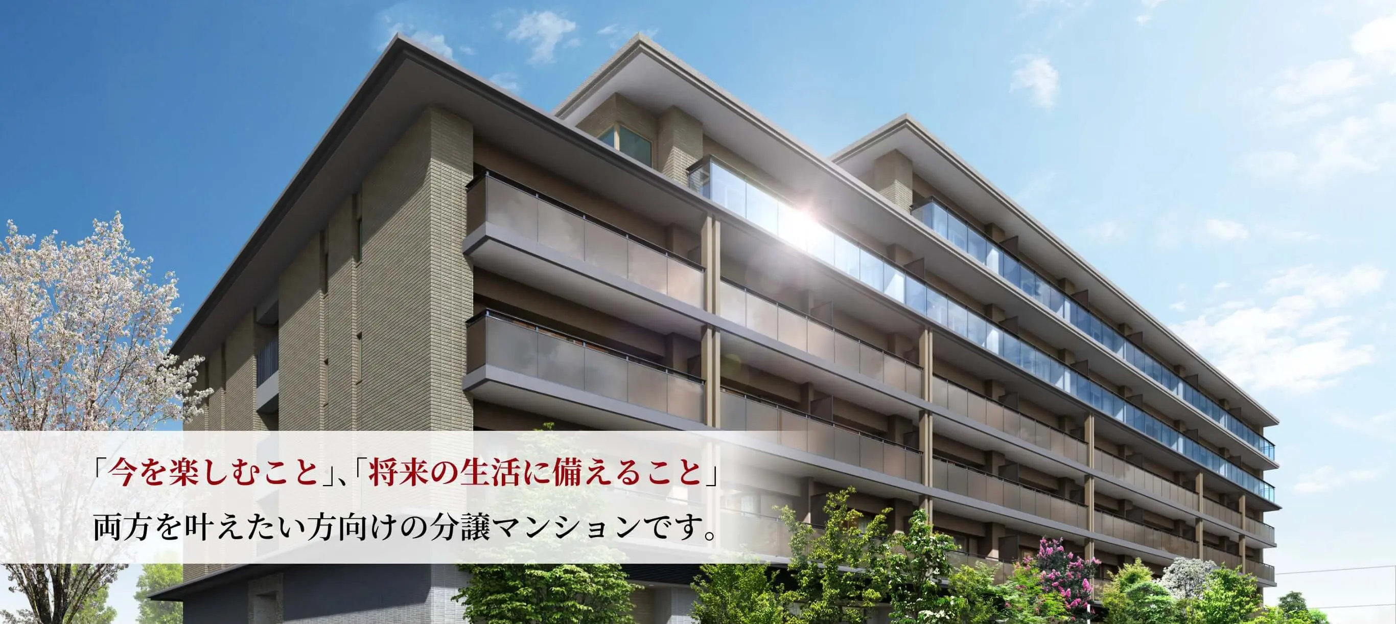 将来に向けた準備