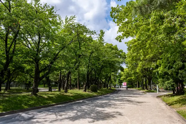 千種公園