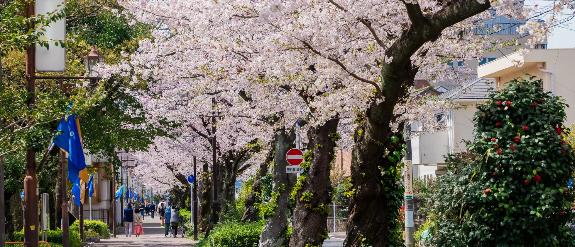 すいどうみち緑道