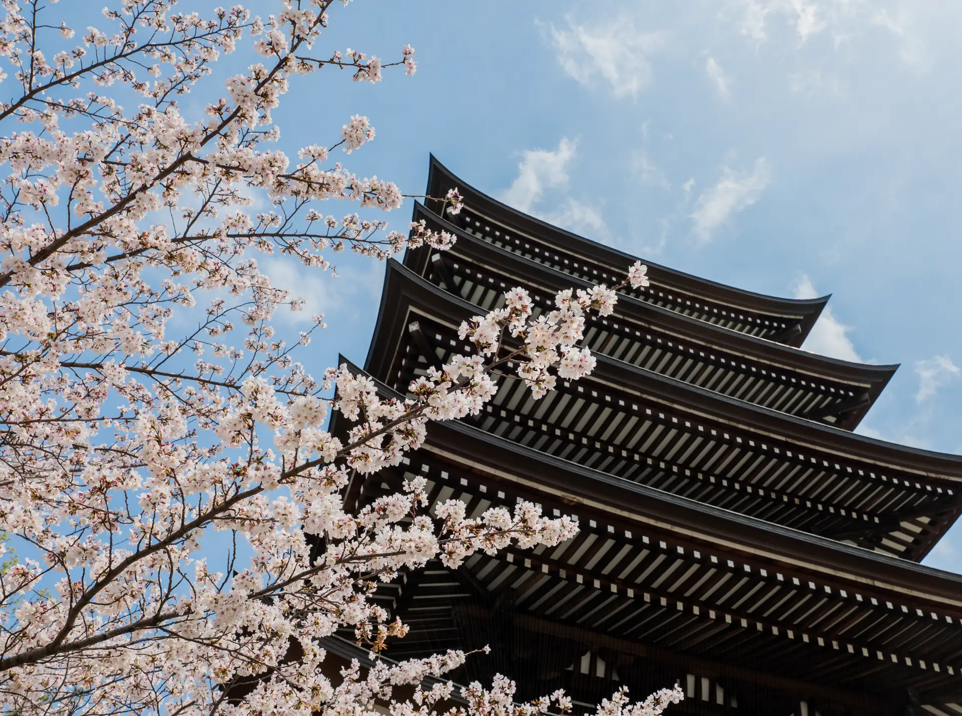 覚王山日泰寺