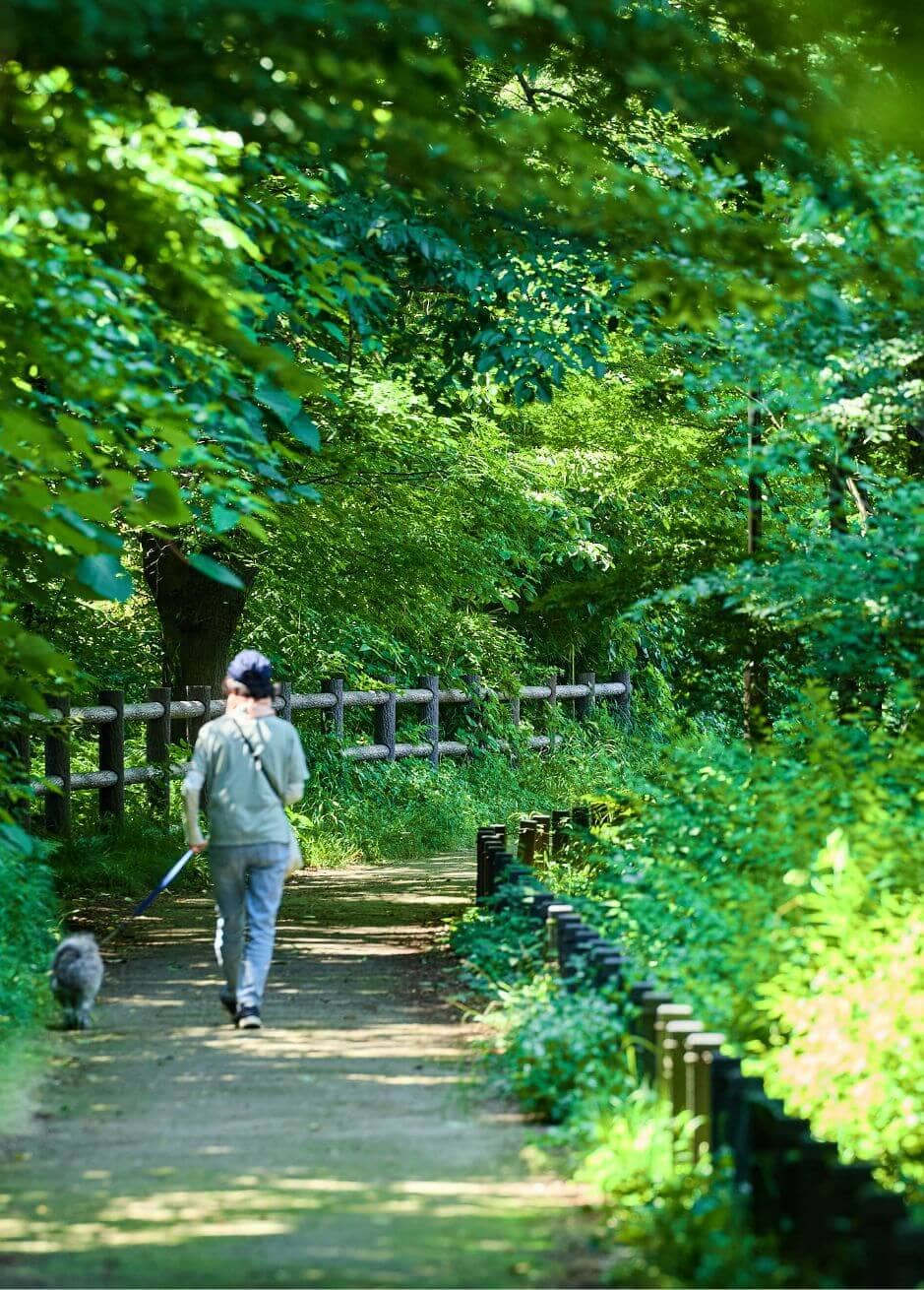 玉川上水緑道