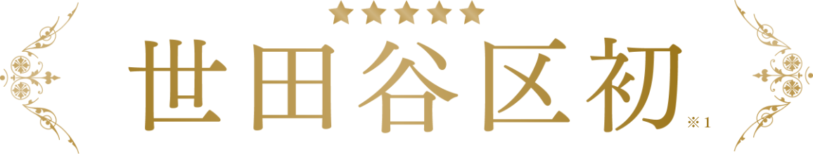 世田谷区初