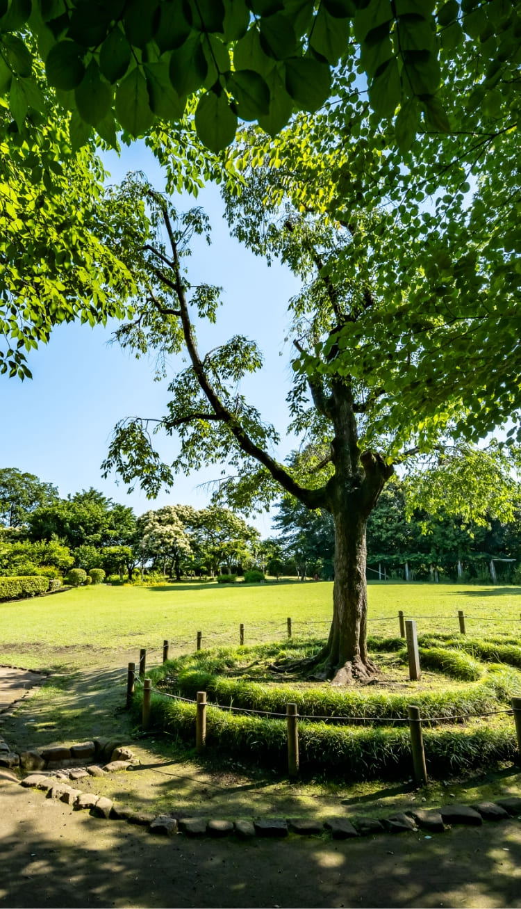 牟礼の里公園