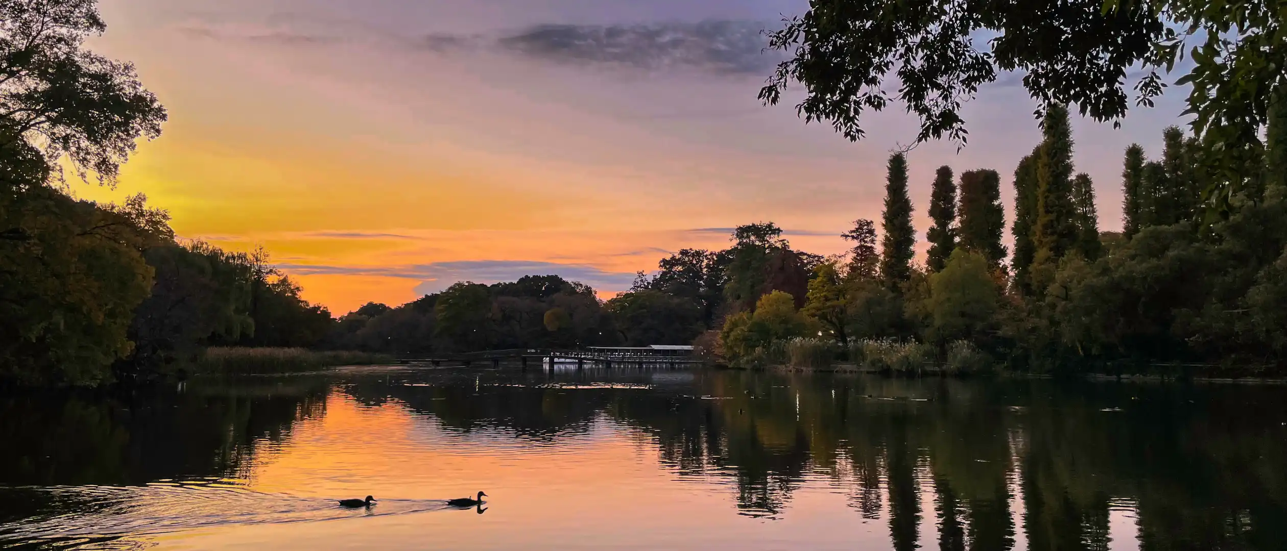 INOKASHIRA PARK 井の頭恩賜公園