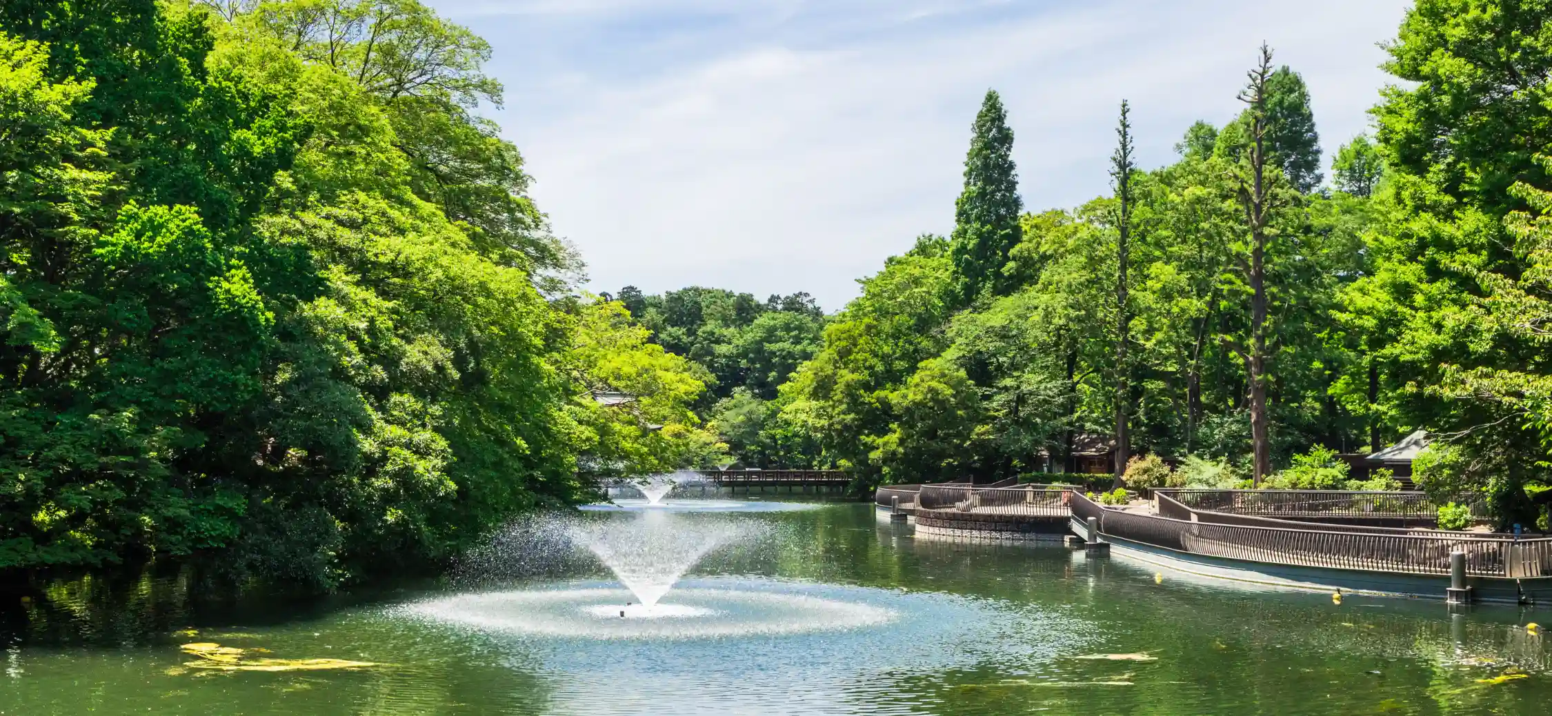 井の頭恩賜公園