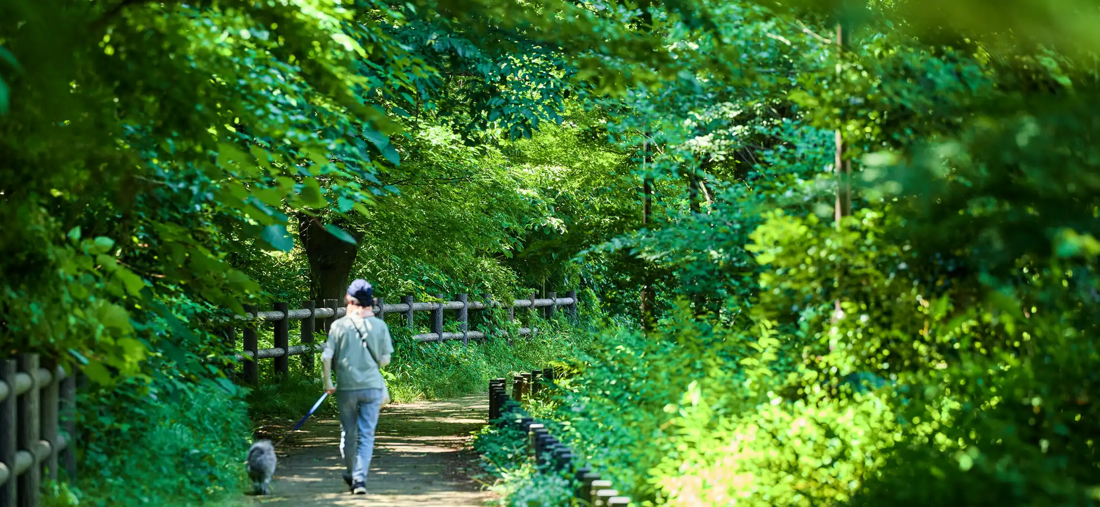 玉川上水緑道 徒歩7分（約490m）