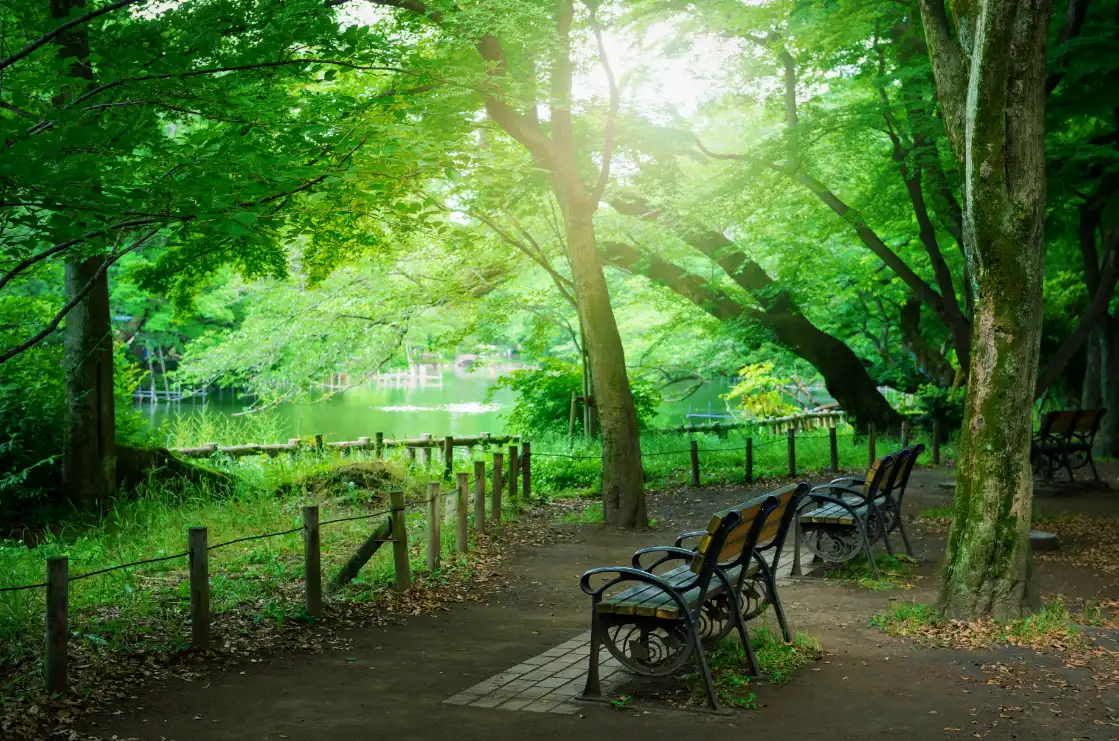 井の頭恩賜公園