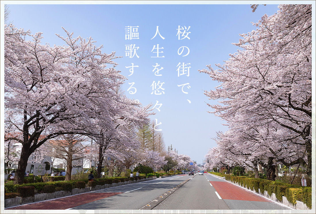 桜の街で、人生を悠々と謳歌する。