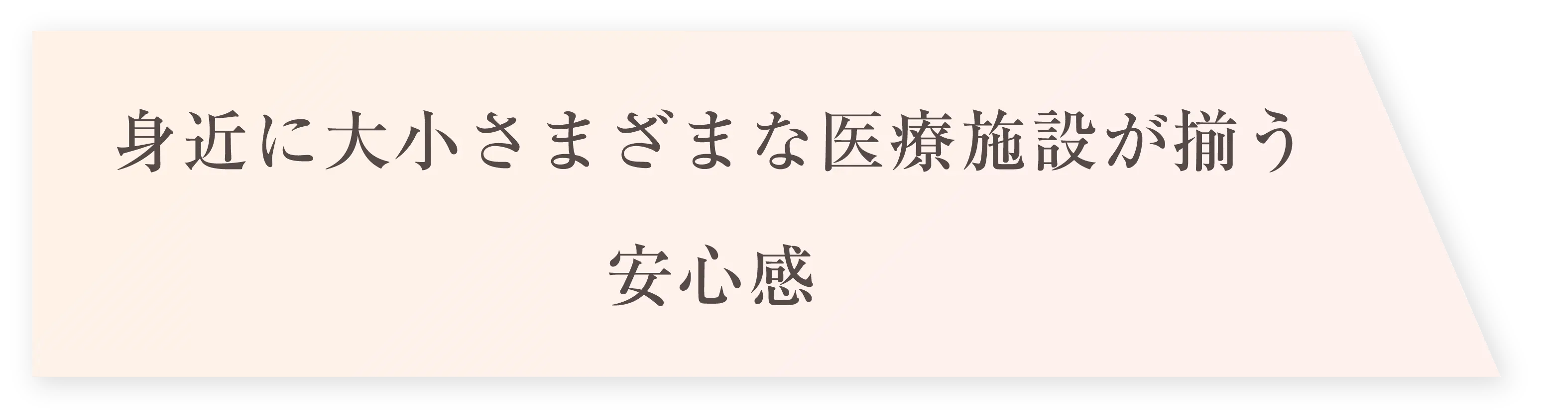 身近に大小さまざまな医療施設が揃う安心感