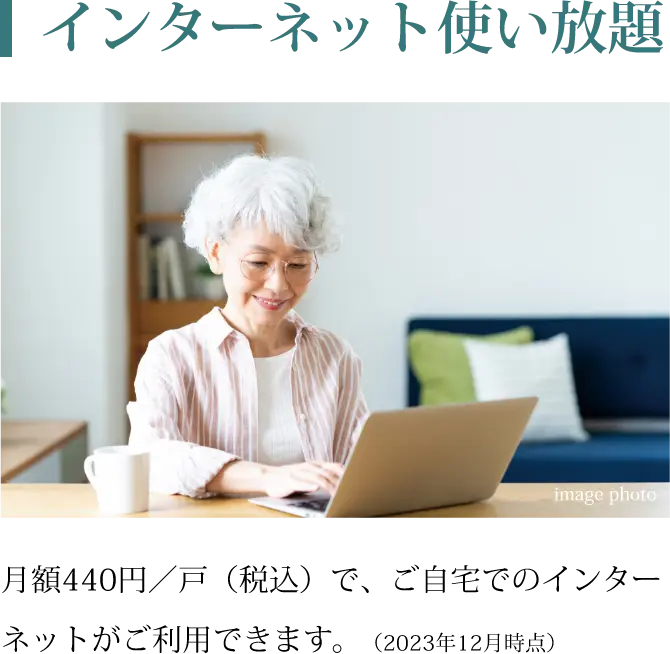 インターネット使い放題